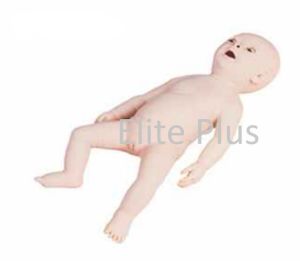 Infant Obstruction and CPR Model