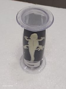 Lizard specimen jar