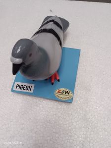 Pigeon model