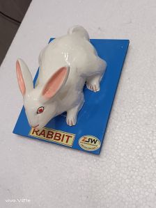 Rabbit model