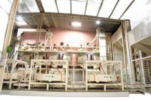 Fully Automatic Peanut Processing Plant