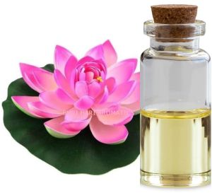 Lotus Essential Oil