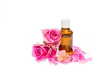 Rose Essential Oil