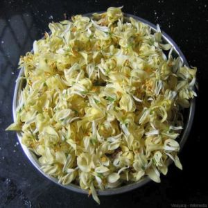 Moringa Dry Flower