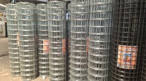 Galvanized Welded Wire Mesh