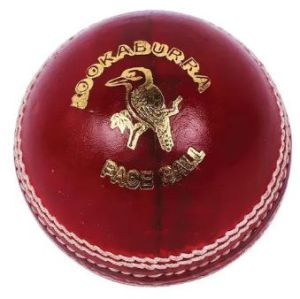 Leather Cricket Ball