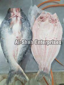 Fresh Vietnam Basa Fish