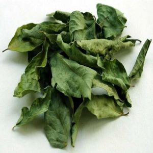 Dehydrated Curry Leaves