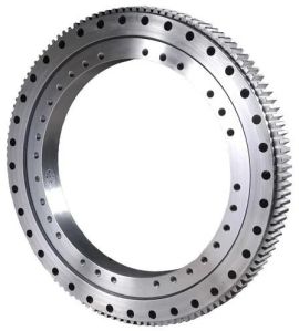 BEW Slewing Ring Bearing