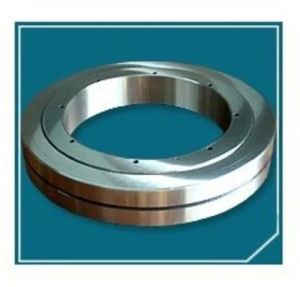 Stainless Steel Rotary Table Swing Bearing