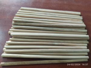 Bamboo Kulfi Sticks