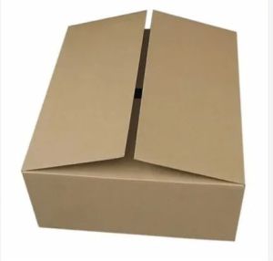 Corrugated Carton Box