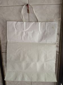 Loop Handle Plain White Paper Bag