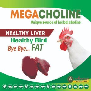 Unique Source Of Natural Biotin and Choline