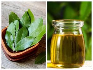 Curry Leaf Oil