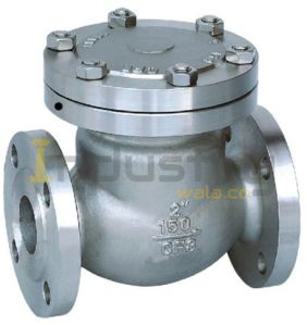 Swing Check Valve