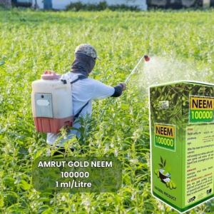 Amrut Gold Neem 100000