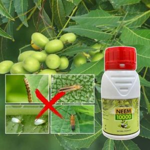 Amrut Gold Neem 10000