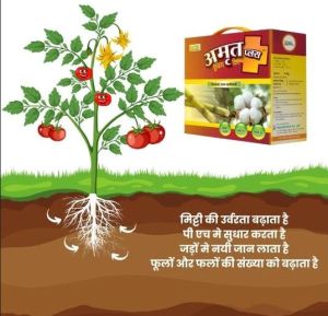 Amrut Drenching Kit