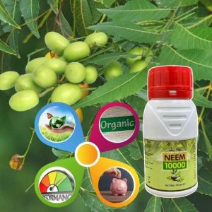 Amrut Gold Neem 10000
