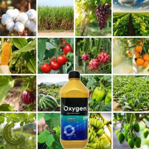 Oxygen Plant Growth Regulator