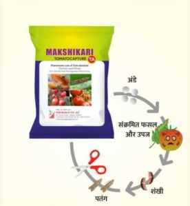 Makshikari Tomato Capture