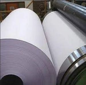 Poly Coated Maplitho paper