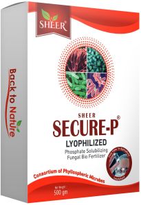 Secure-P Lyophilized Phosphate Solubilizing Fungal Bio Fertilizer