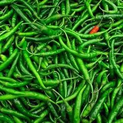 Fresh Green Chilli