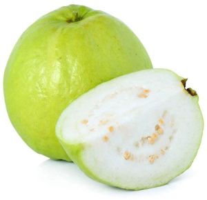 Allahabadi Guava