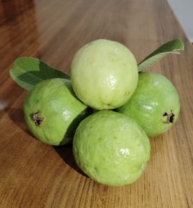 Green Guava