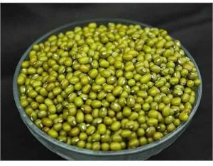 Green Mung Beans