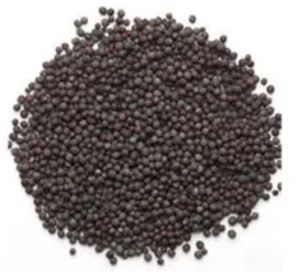 Black Mustard Seeds