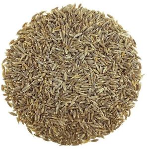 Cumin Seeds