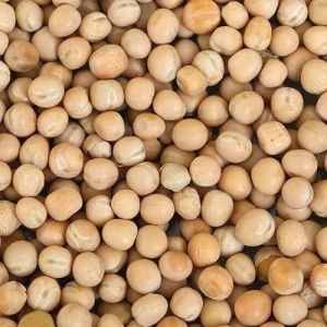 Indian Dry White Peas