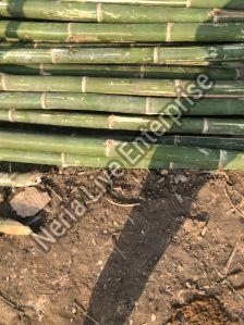 Bamboo Poles