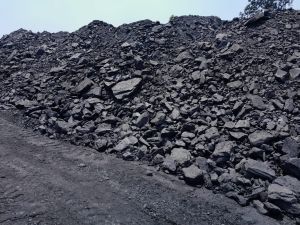 Steam Coal