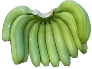 G9 Cavendish Banana