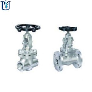 Globe Valve