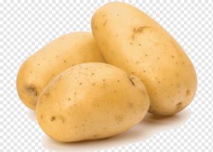 Potato