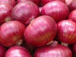 Red Onion