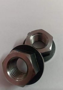 Mild Steel Flange Nut