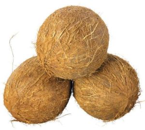 Fully Husked Coconut