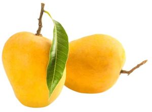 Fresh Alphonso Mango