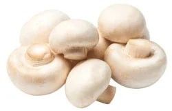 Fresh Button Mushroom