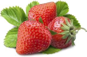 Fresh Strawberry