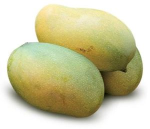 Fresh Amrapali Mango