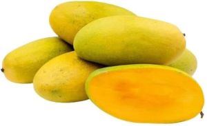 Fresh Dasheri Mango