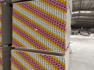 NEOGYP Standard Gypsum Board