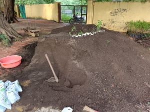 Vermicompost